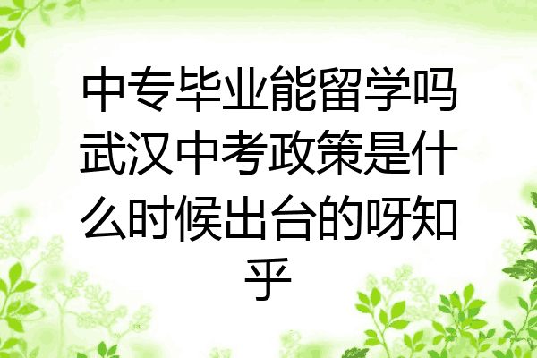 中专毕业能留学吗武汉中考政策是什么时候出台的呀知乎