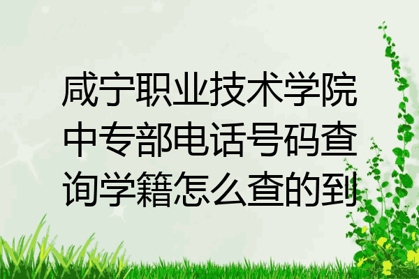 咸宁职业技术学院中专部电话号码查询学籍怎么查的到