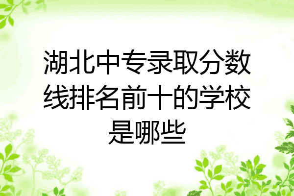 湖北中专录取分数线排名前十的学校是哪些