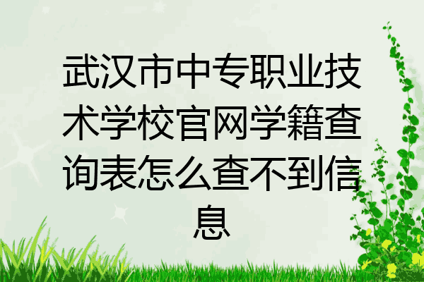 武汉市中专职业技术学校官网学籍查询表怎么查不到信息