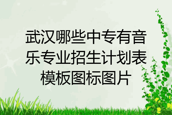 武汉哪些中专有音乐专业招生计划表模板图标图片