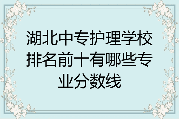 湖北中专护理学校排名前十有哪些专业分数线