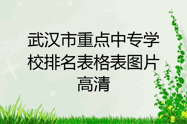 武汉市重点中专学校排名表格表图片高清