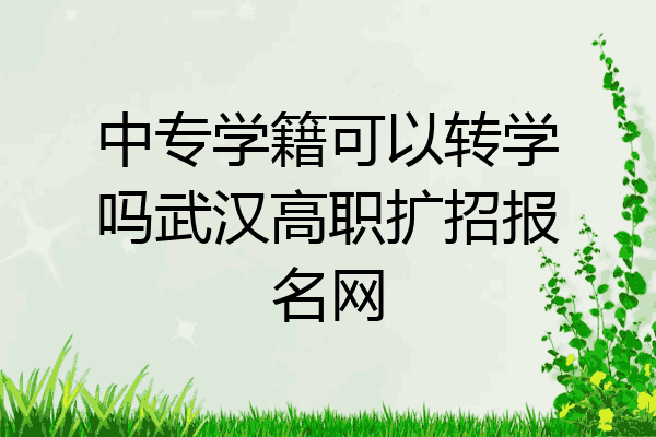 中专学籍可以转学吗武汉高职扩招报名网