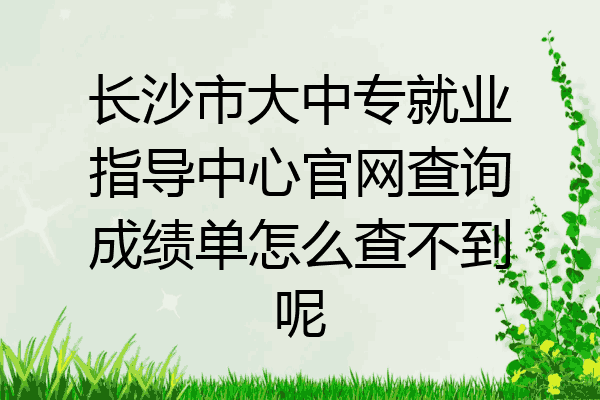 长沙市大中专就业指导中心官网查询成绩单怎么查不到呢
