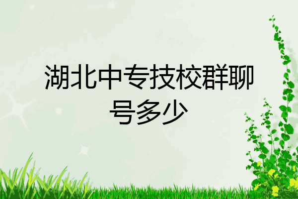 湖北中专技校群聊号多少