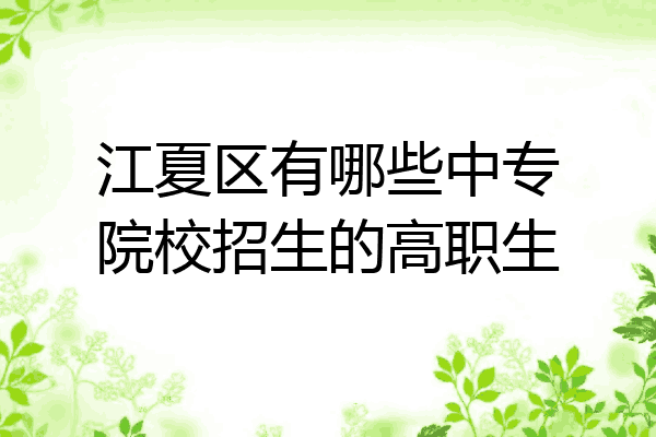 江夏区有哪些中专院校招生的高职生