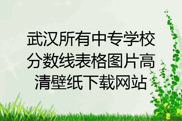 武汉所有中专学校分数线表格图片高清壁纸下载网站