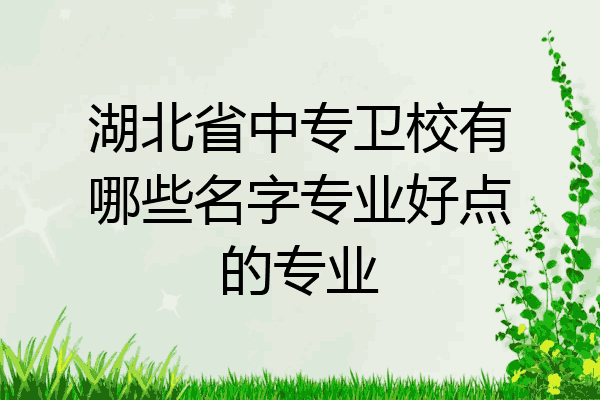 湖北省中专卫校有哪些名字专业好点的专业
