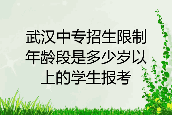 武汉中专招生限制年龄段是多少岁以上的学生报考