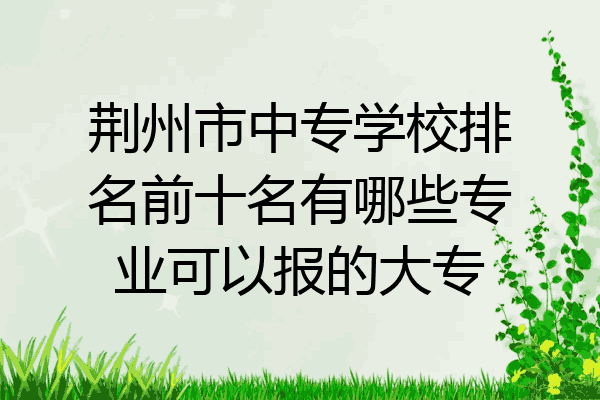 荆州市中专学校排名前十名有哪些专业可以报的大专