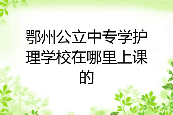 鄂州公立中专学护理学校在哪里上课的