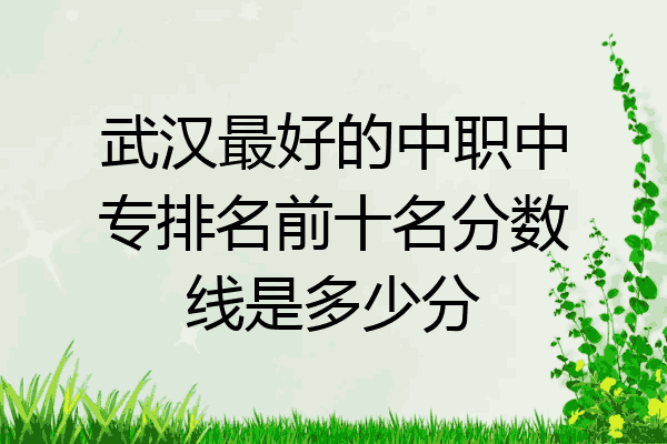 武汉最好的中职中专排名前十名分数线是多少分