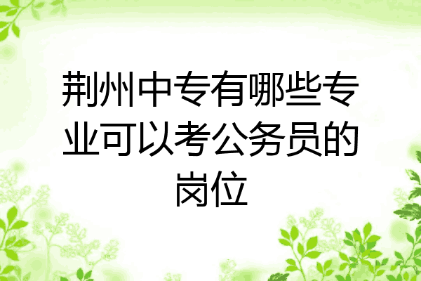 荆州中专有哪些专业可以考公务员的岗位