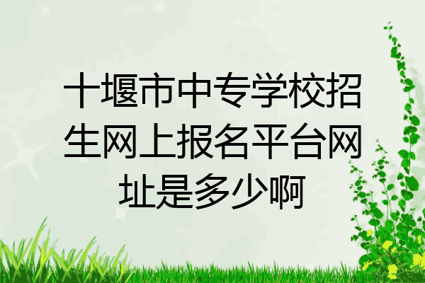 十堰市中专学校招生网上报名平台网址是多少啊