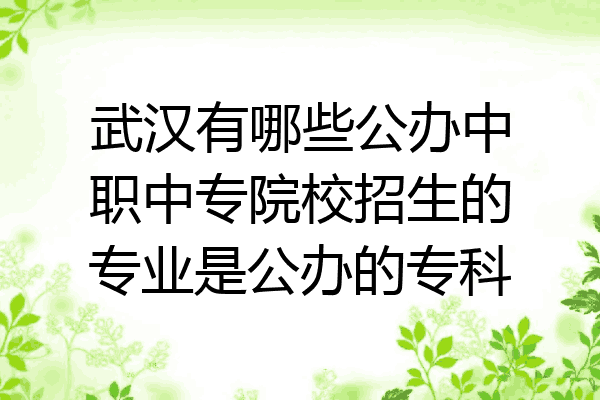 武汉有哪些公办中职中专院校招生的专业是公办的专科