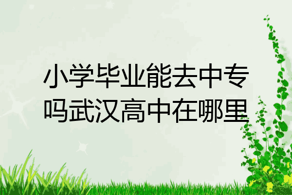 小学毕业能去中专吗武汉高中在哪里