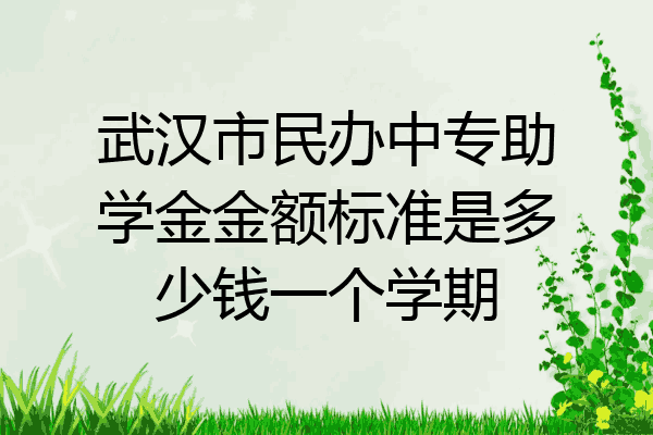 武汉市民办中专助学金金额标准是多少钱一个学期