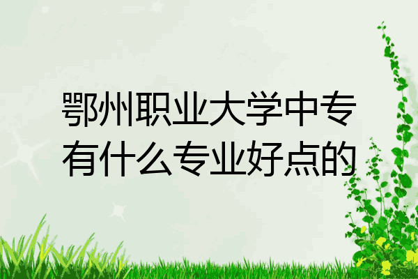 鄂州职业大学中专有什么专业好点的