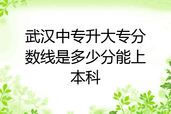 武汉中专升大专分数线是多少分能上本科