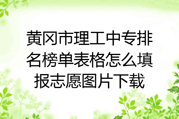 黄冈市理工中专排名榜单表格怎么填报志愿图片下载