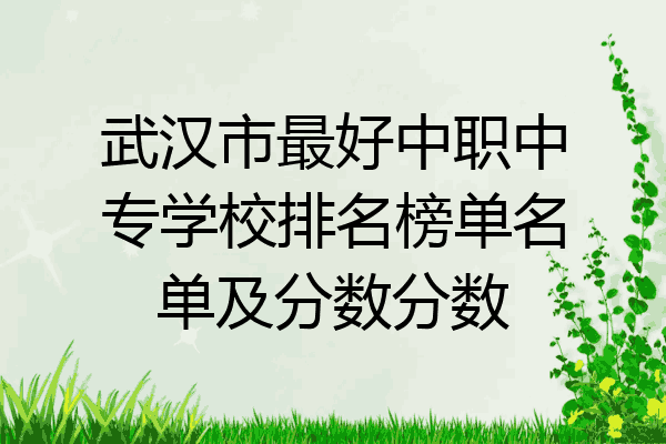 武汉市最好中职中专学校排名榜单名单及分数分数