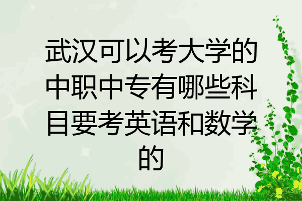 武汉可以考大学的中职中专有哪些科目要考英语和数学的