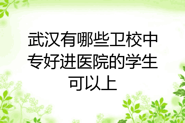武汉有哪些卫校中专好进医院的学生可以上