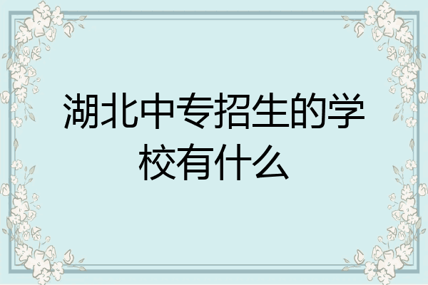 湖北中专招生的学校有什么