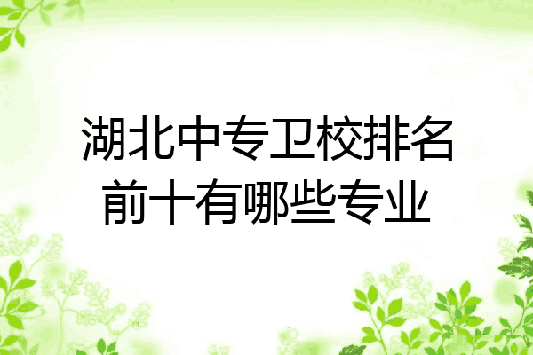湖北中专卫校排名前十有哪些专业