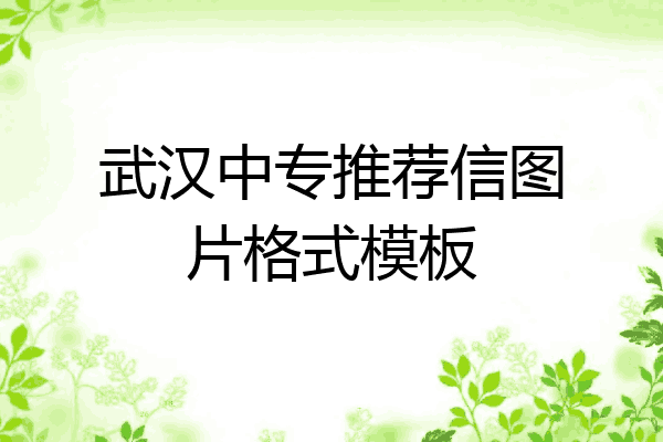 武汉中专推荐信图片格式模板