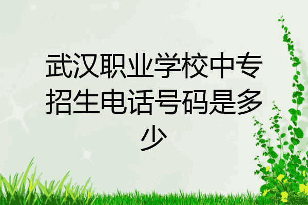 武汉职业学校中专招生电话号码是多少