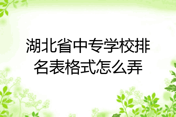 湖北省中专学校排名表格式怎么弄