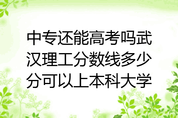 中专还能高考吗武汉理工分数线多少分可以上本科大学