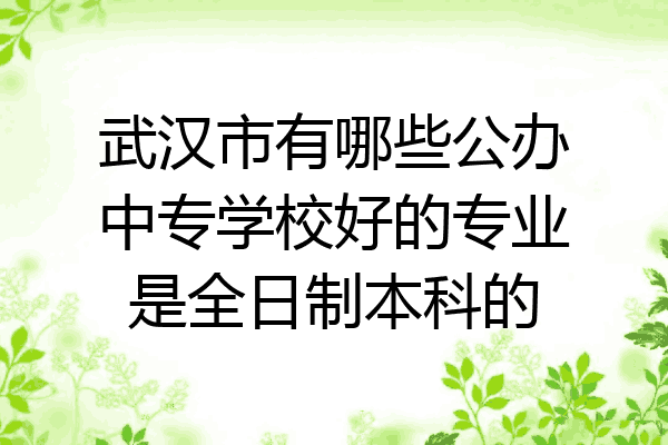 武汉市有哪些公办中专学校好的专业是全日制本科的