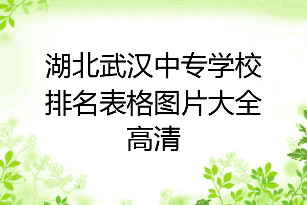 湖北武汉中专学校排名表格图片大全高清