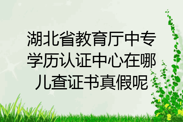 湖北省教育厅中专学历认证中心在哪儿查证书真假呢