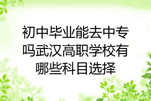 初中毕业能去中专吗武汉高职学校有哪些科目选择
