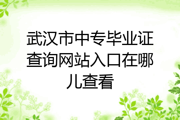 武汉市中专毕业证查询网站入口在哪儿查看