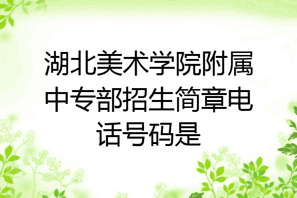 湖北美术学院附属中专部招生简章电话号码是