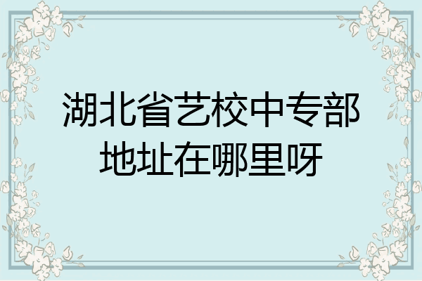 湖北省艺校中专部地址在哪里呀