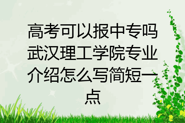 高考可以报中专吗武汉理工学院专业介绍怎么写简短一点