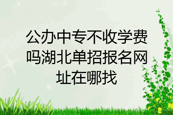 公办中专不收学费吗湖北单招报名网址在哪找