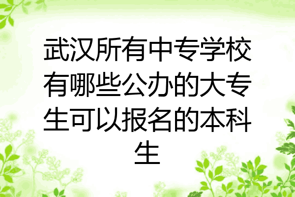 武汉所有中专学校有哪些公办的大专生可以报名的本科生