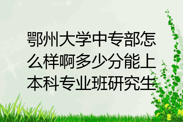 鄂州大学中专部怎么样啊多少分能上本科专业班研究生