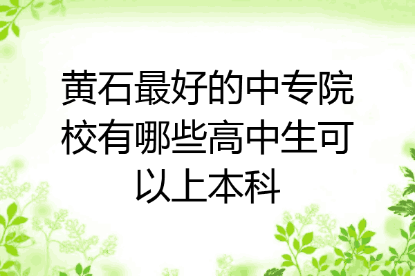 黄石最好的中专院校有哪些高中生可以上本科