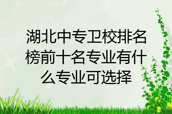 湖北中专卫校排名榜前十名专业有什么专业可选择