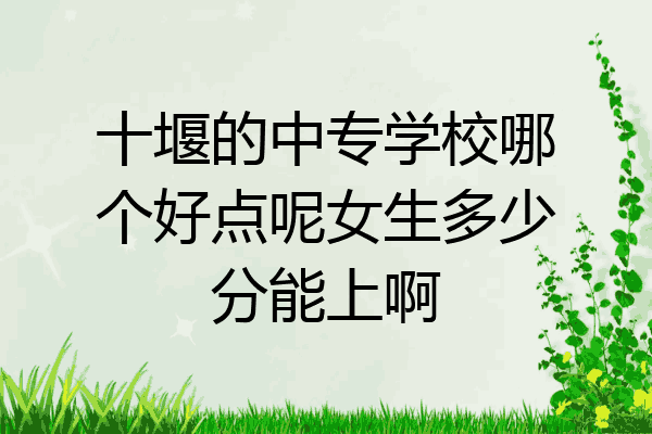 十堰的中专学校哪个好点呢女生多少分能上啊