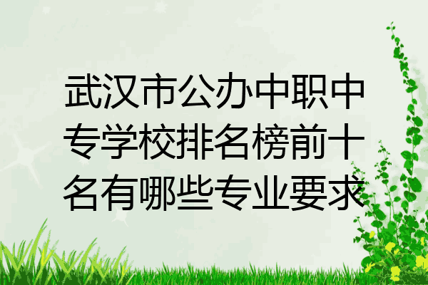 武汉市公办中职中专学校排名榜前十名有哪些专业要求