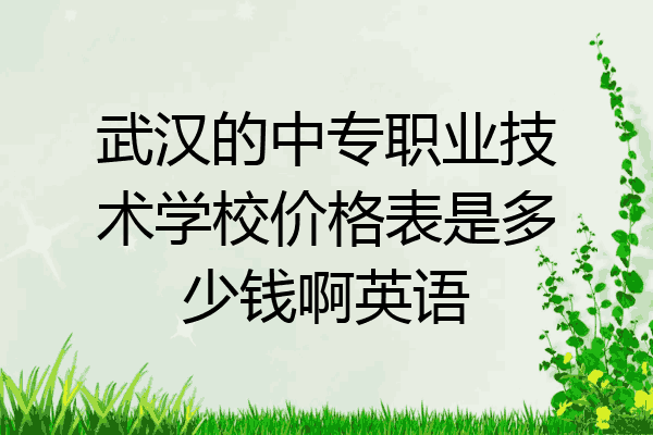 武汉的中专职业技术学校价格表是多少钱啊英语